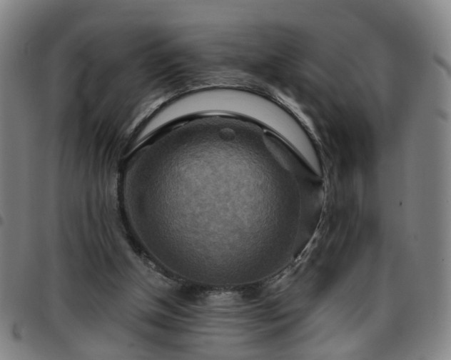 X0000096380154200801311307