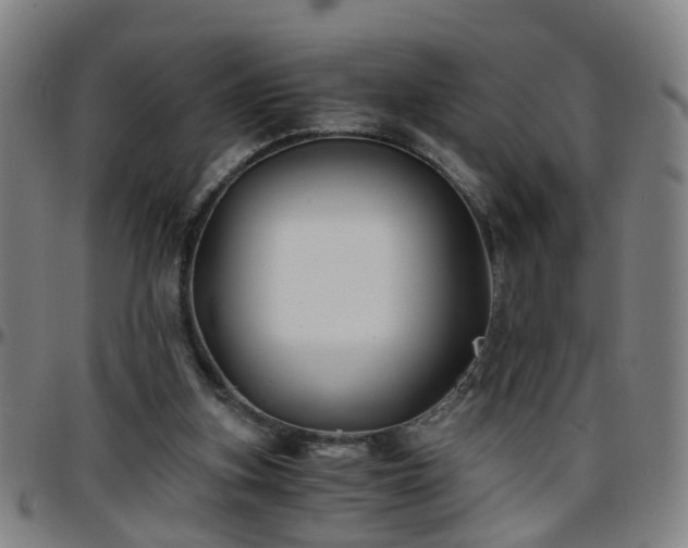 X0000096380155200801311307