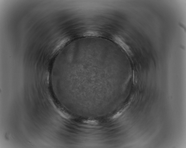 X0000096380157200801311307
