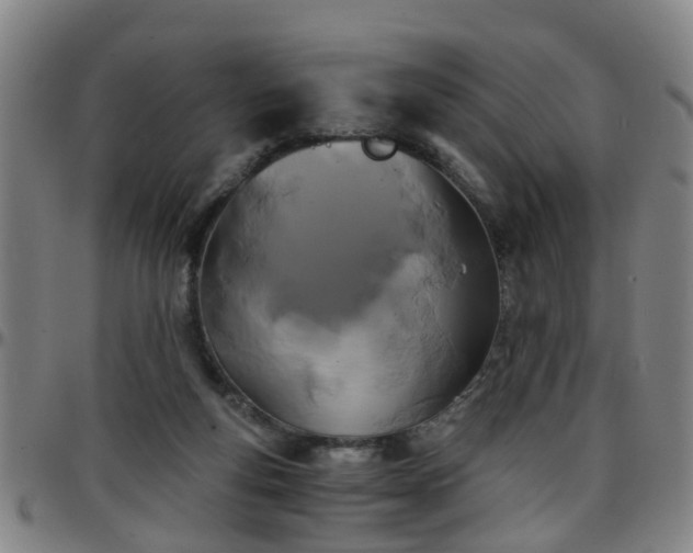 X0000096380163200801311307
