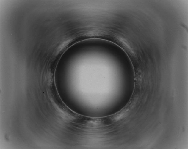 X0000096380164200801311307
