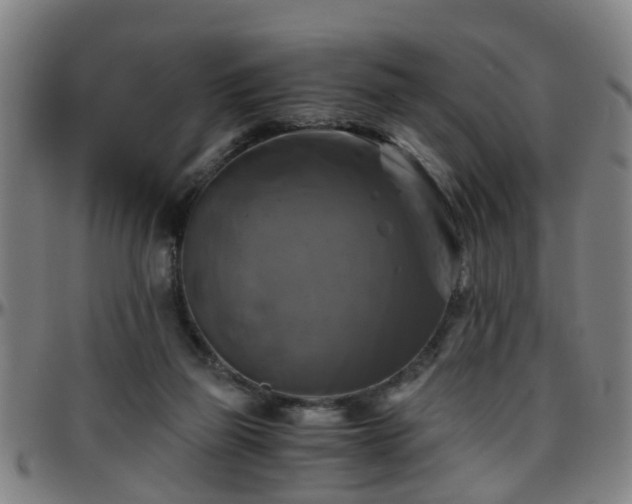 X0000096380165200801311307