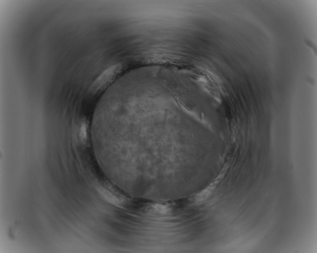 X0000096380166200801311307