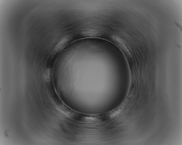 X0000096380167200801311307