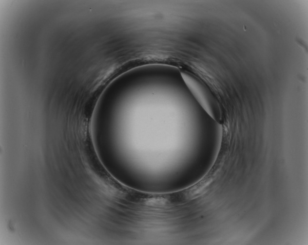 X0000096380168200801311307