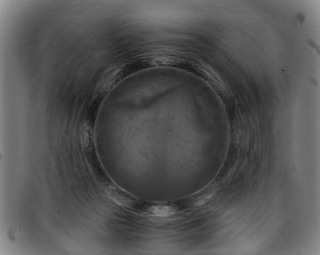 X0000096380169200801311307