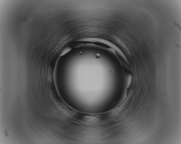 X0000096380170200801311307