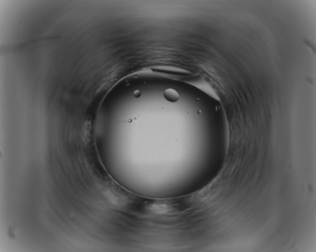 X0000096380171200801311307