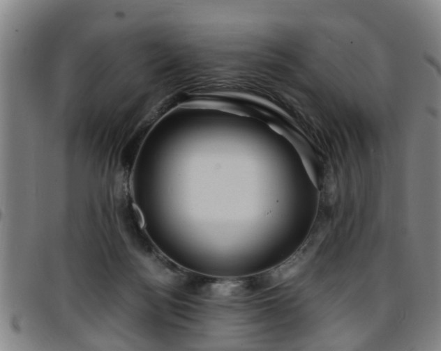 X0000096380172200801311307