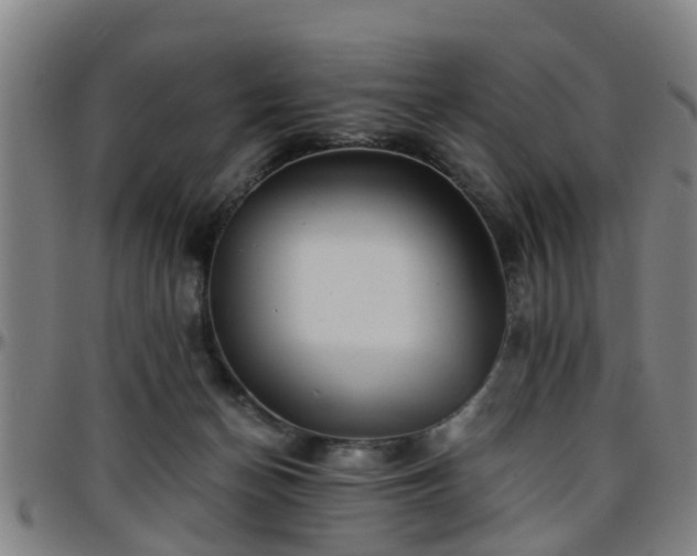 X0000096380174200801311307