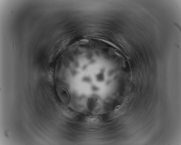 X0000096380175200801311307
