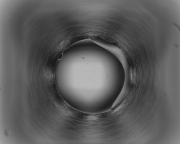 X0000096380176200801311307