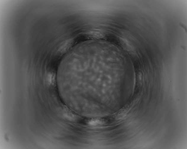 X0000096380177200801311307