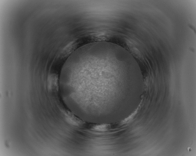X0000096380178200801311307