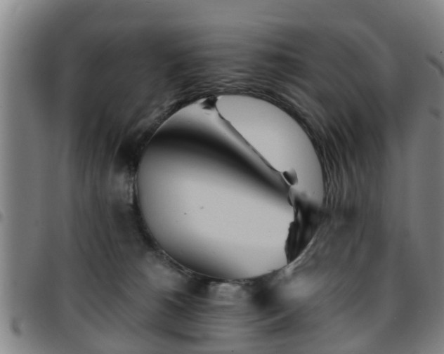 X0000096380180200801311307