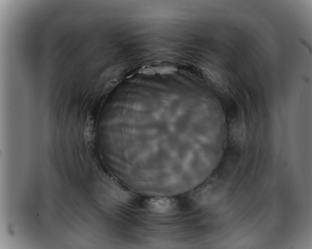 X0000096380181200801311307