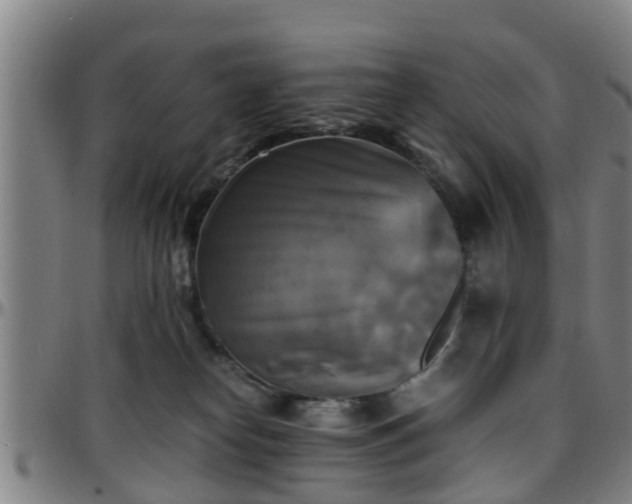 X0000096380182200801311307