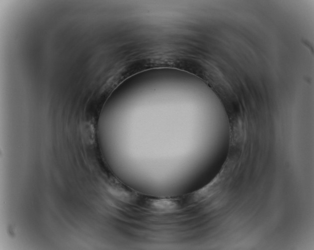 X0000096380183200801311307