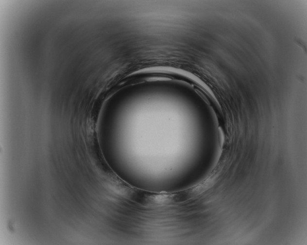 X0000096380184200801311307