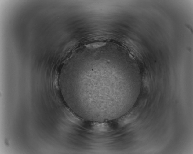 X0000096380185200801311307