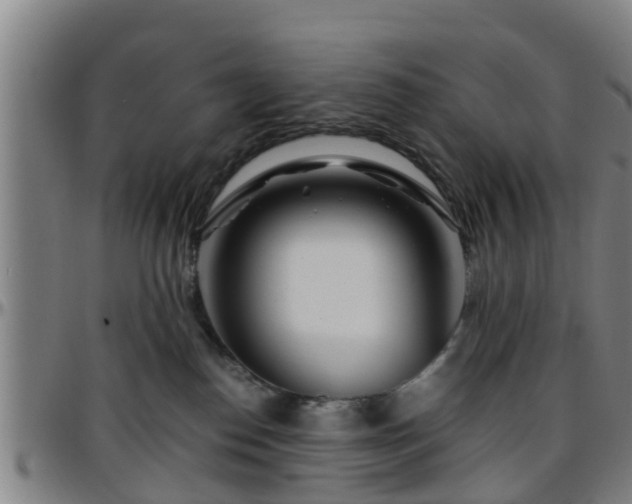 X0000096380186200801311307