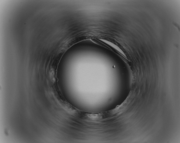 X0000096380187200801311307