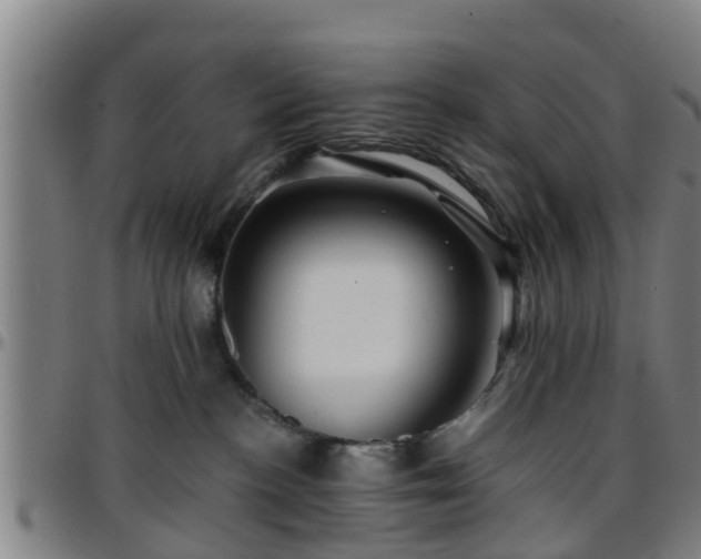 X0000096380188200801311307