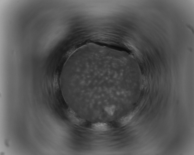 X0000096380189200801311307