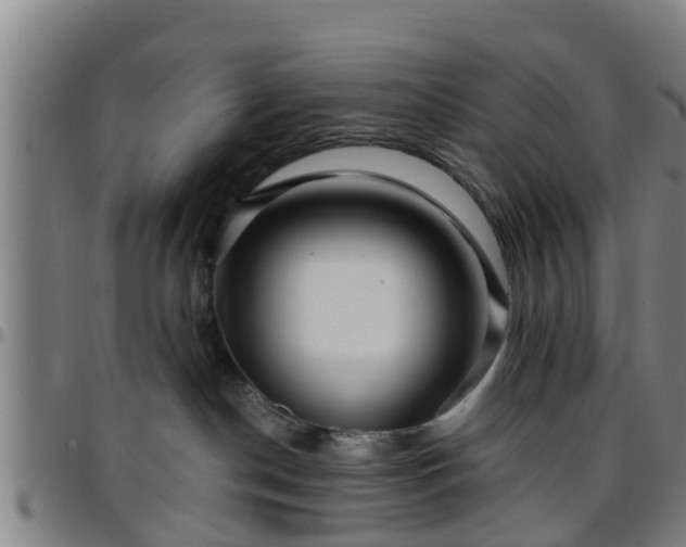 X0000096380190200801311307