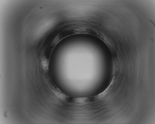 X0000096380191200801311307