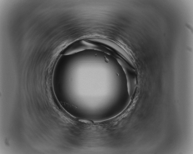 X0000096380193200801311306