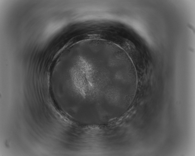 X0000096380194200801311306