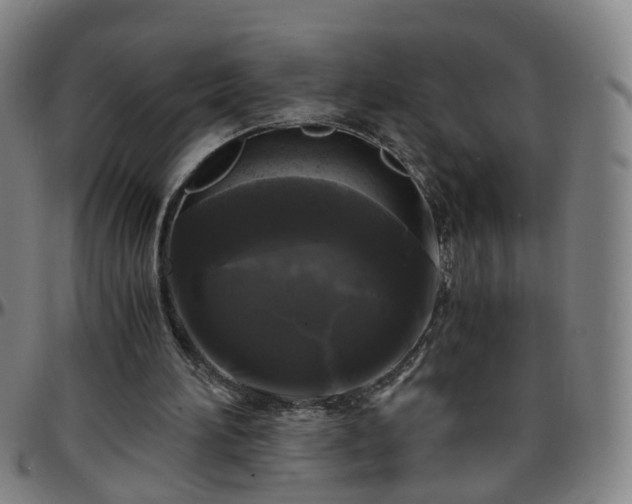 X0000096380196200801311306