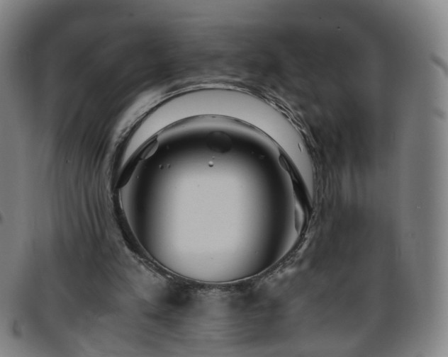 X0000096380197200801311306