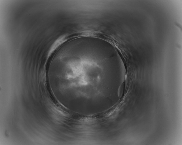 X0000096380198200801311306