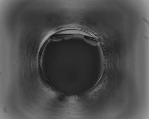 X0000096380200200801311306