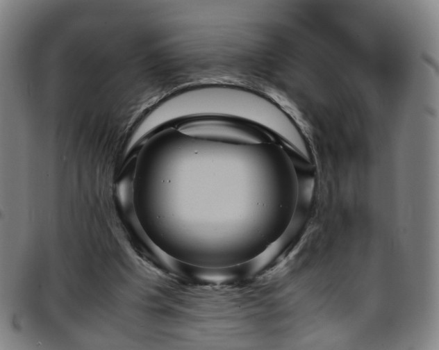 X0000096380201200801311306