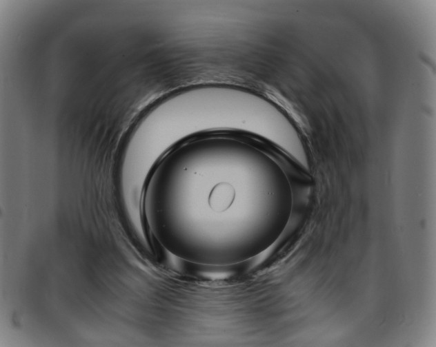 X0000096380203200801311306