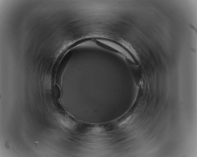 X0000096380204200801311306
