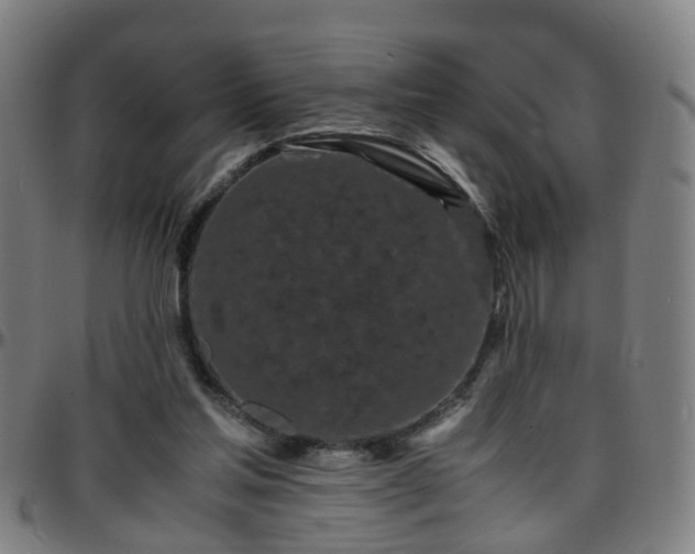 X0000096380205200801311306