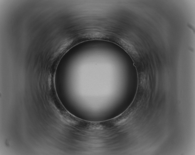 X0000096380206200801311306