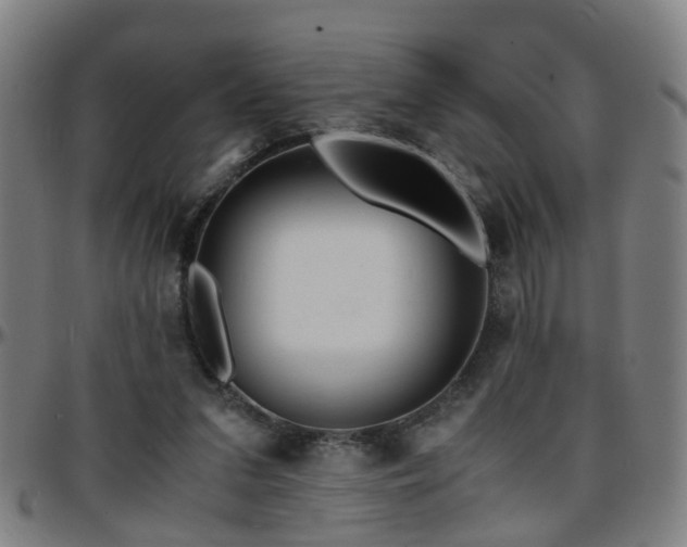 X0000096380207200801311306