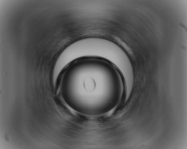 X0000096380209200801311306
