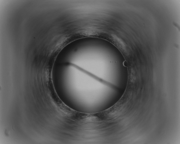 X0000096380210200801311306