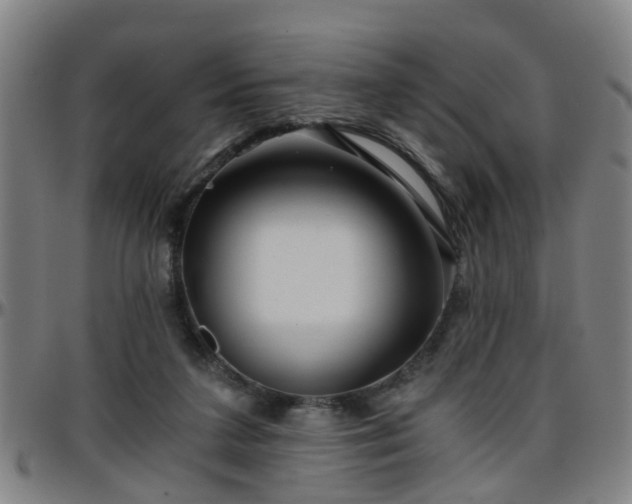 X0000096380211200801311306