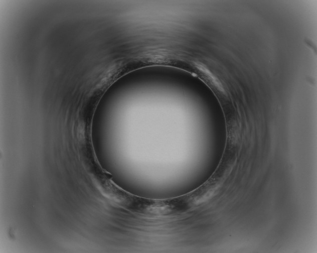 X0000096380213200801311306