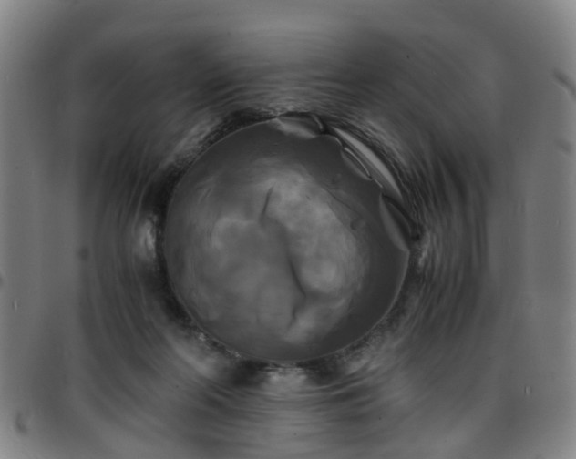 X0000096380214200801311306