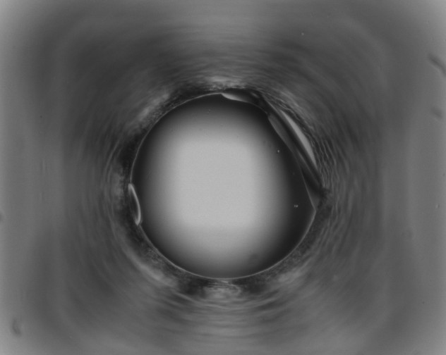 X0000096380215200801311306