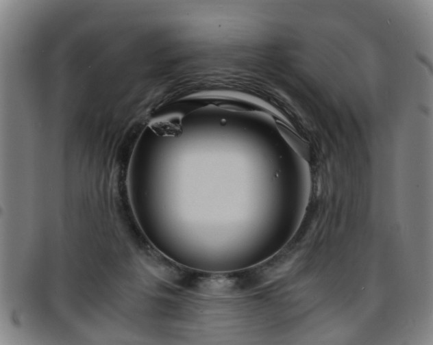 X0000096380217200801311306