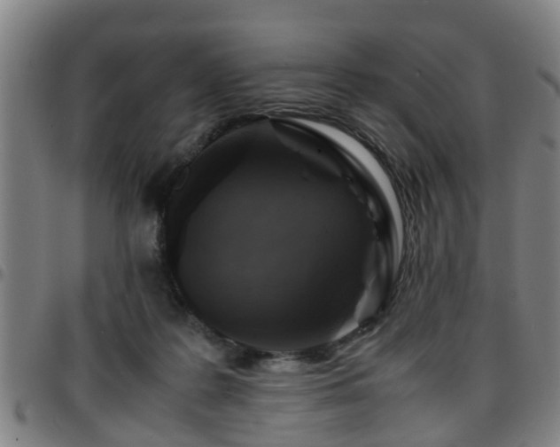 X0000096380219200801311306
